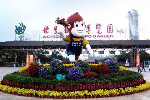 ͼƬ����