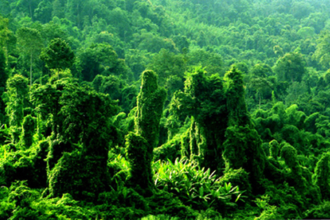 ͼƬ����